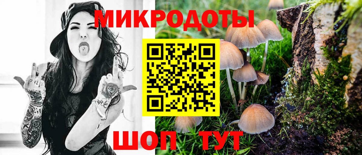 Галлюциногенные грибы MAGIC MUSHROOMS  Галлюциногенные грибы Magic Shrooms  Вход с VPN  где купить   Медногорск 