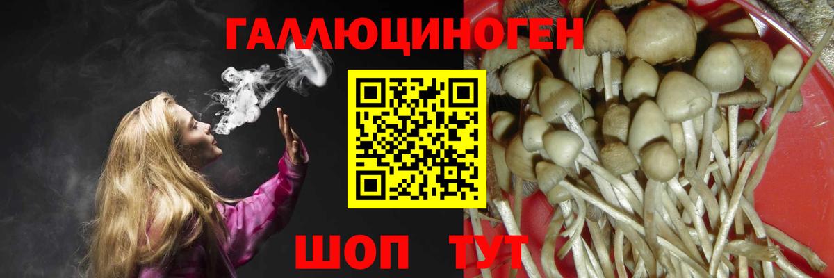 Галлюциногенные грибы прущие грибы Медногорск