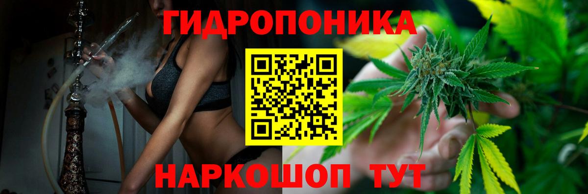 Конопля Amnesia  Бошки Шишки ГИДРОПОН  МАРИХУАНА Amnesia  МАРИХУАНА гибрид  Вход с VPN  Медногорск 